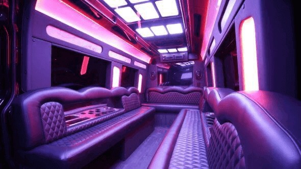 Interior of Gastonia Party Bus Company's 14 Passenger Sprinter Limousine in Gastonia
